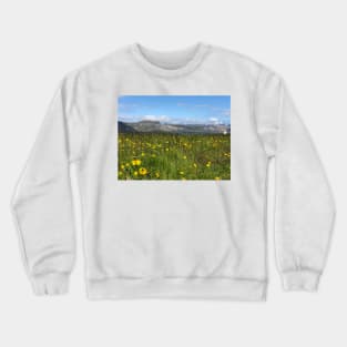 Snaefellsnes Peninsula Iceland Crewneck Sweatshirt